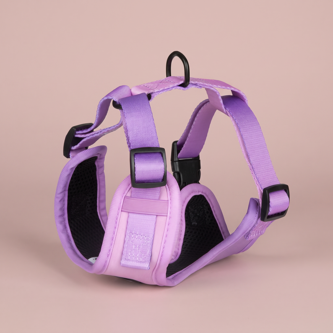 Arnés para perro Lavanda Vetoven – Colección Primavera – vista 2