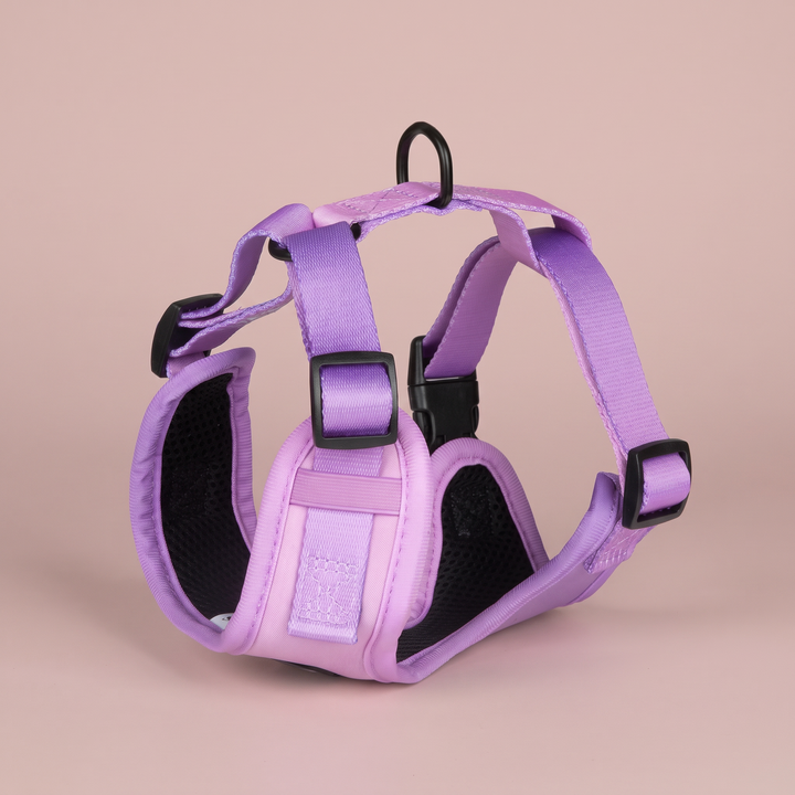 Arnés para perro Lavanda Vetoven – Colección Primavera – vista 2