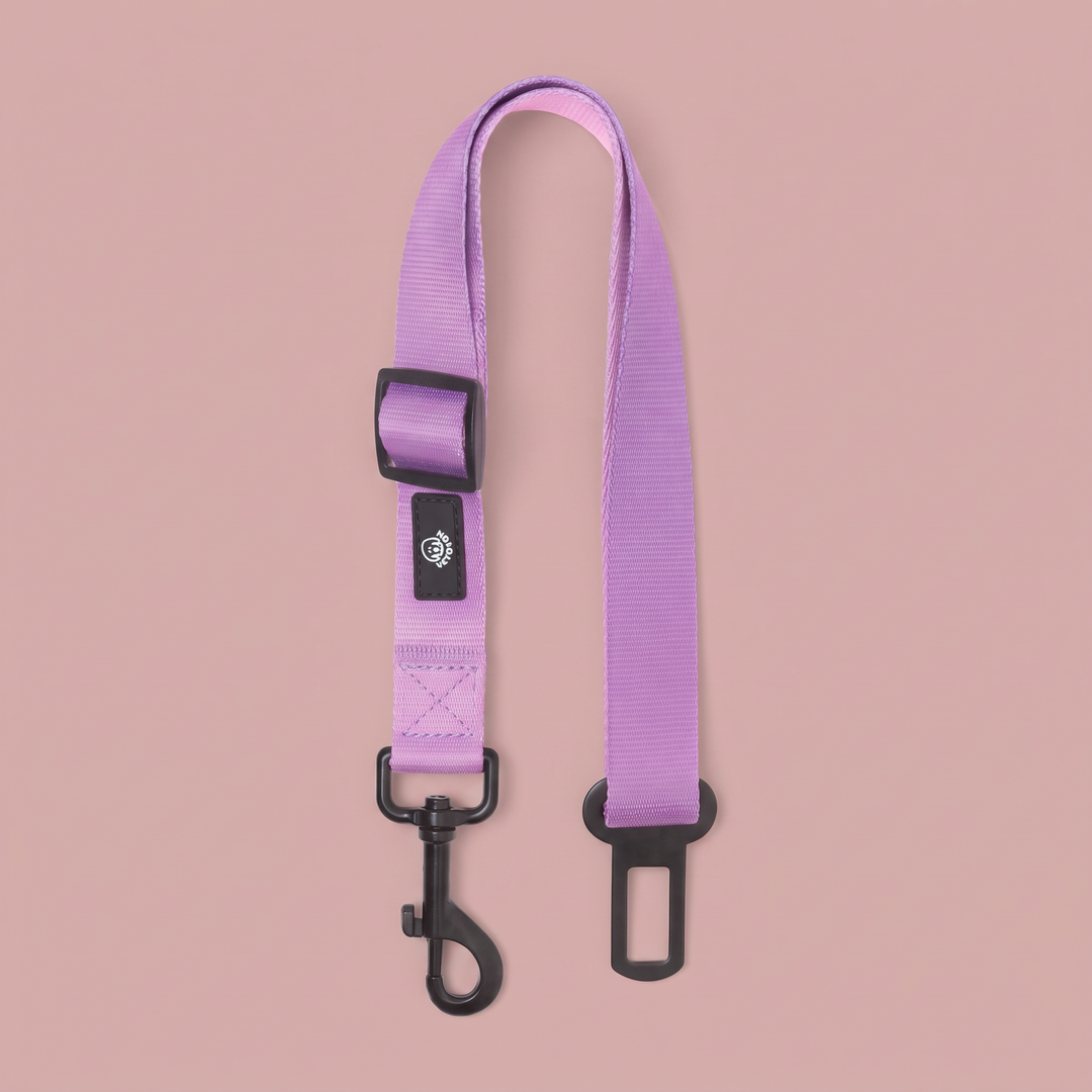Cinturón para Perros Lavanda