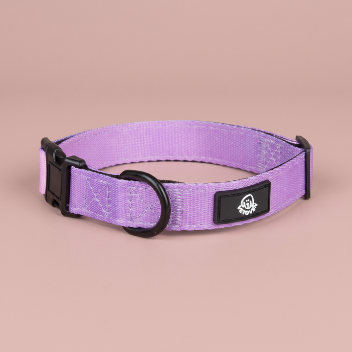 💜 Collar “Lavanda” para Perros – Colección Primavera Vetoven