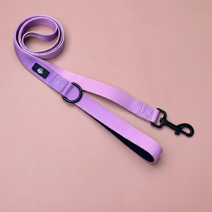 Correa para perro Lavanda Vetoven – Colección Primavera