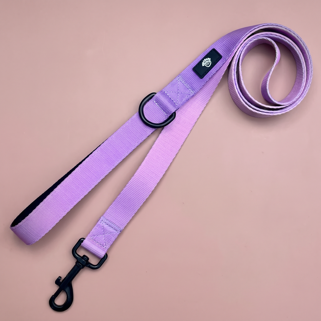 Correa para perro Lavanda Vetoven – Colección Primavera – vista 2