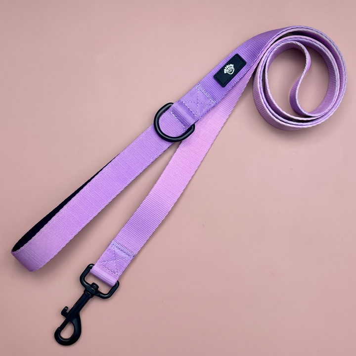 Correa para perro Lavanda Vetoven – Colección Primavera – vista 2