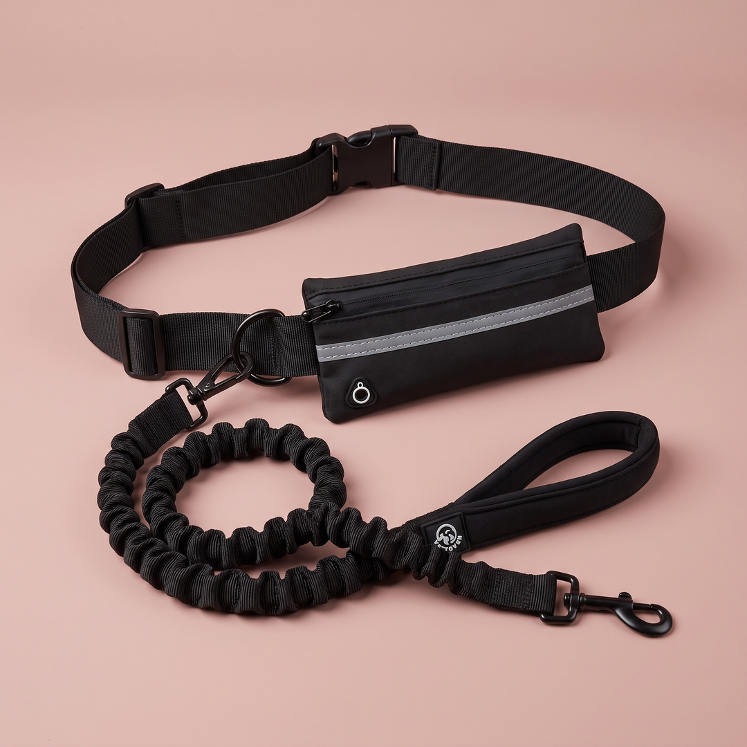 Correa para perro Manos Libres Vetoven – negro, completa