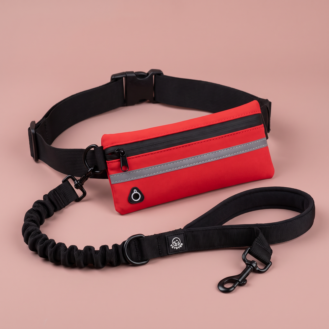 Correa para perro Manos Libres Vetoven – rojo, detalle del bolsillo
