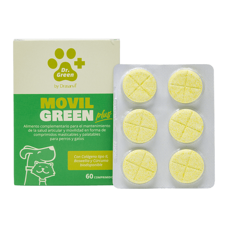 🦴 MovilGreen Plus – Soporte articular avanzado para perros con necesidades especiales