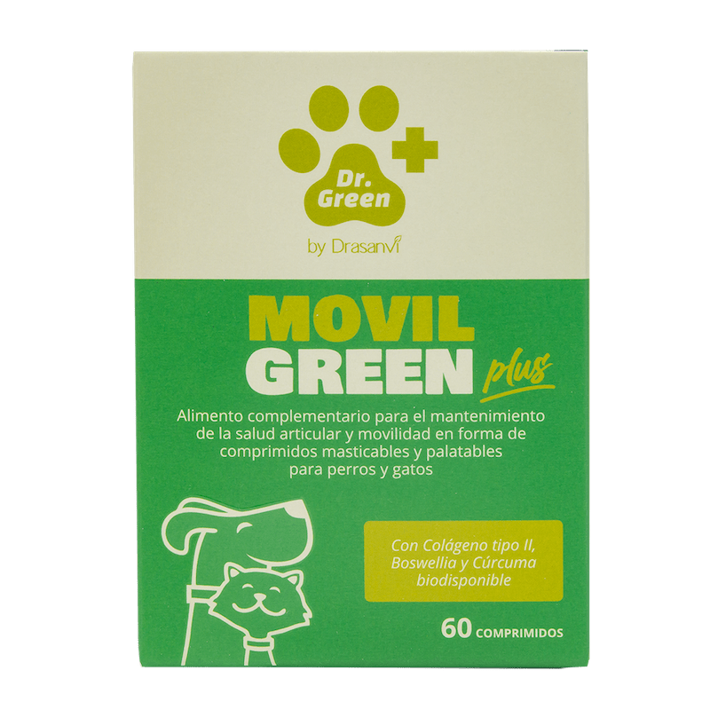 🦴 MovilGreen Plus – Soporte articular avanzado para perros con necesidades especiales