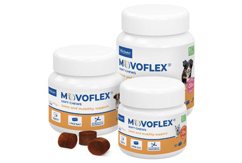 🦴 MOVOFLEX® Soft Chews – Suplemento articular avanzado para perros