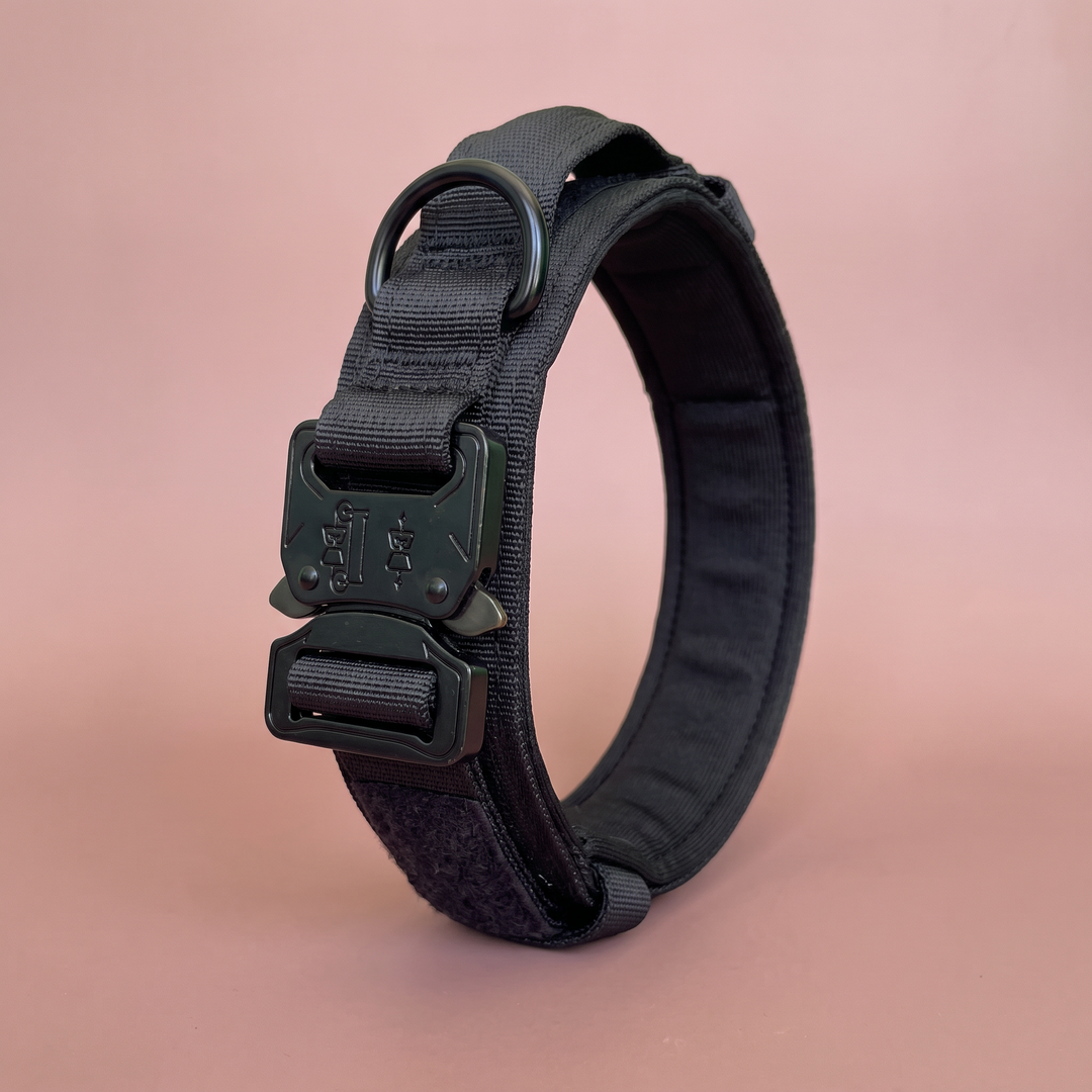 Collar para Perro Negro Sombra – cerrado