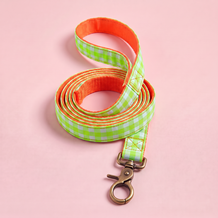 Correa para Perros Vichy Neón Green (150 cm) – nylon naranja, enrollada