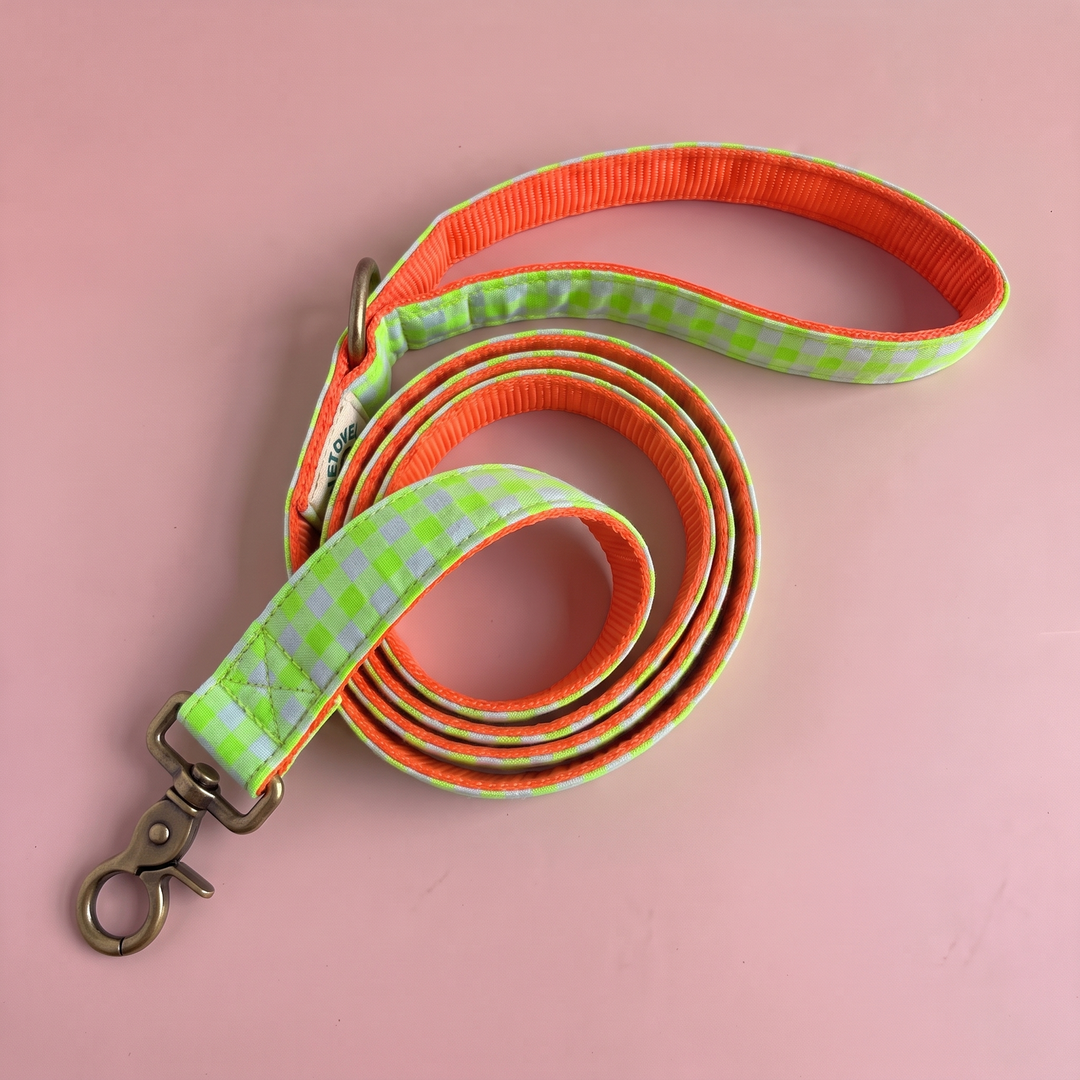 Correa para Perros Vichy Neón Green (150 cm) – nylon naranja, detalle del asa