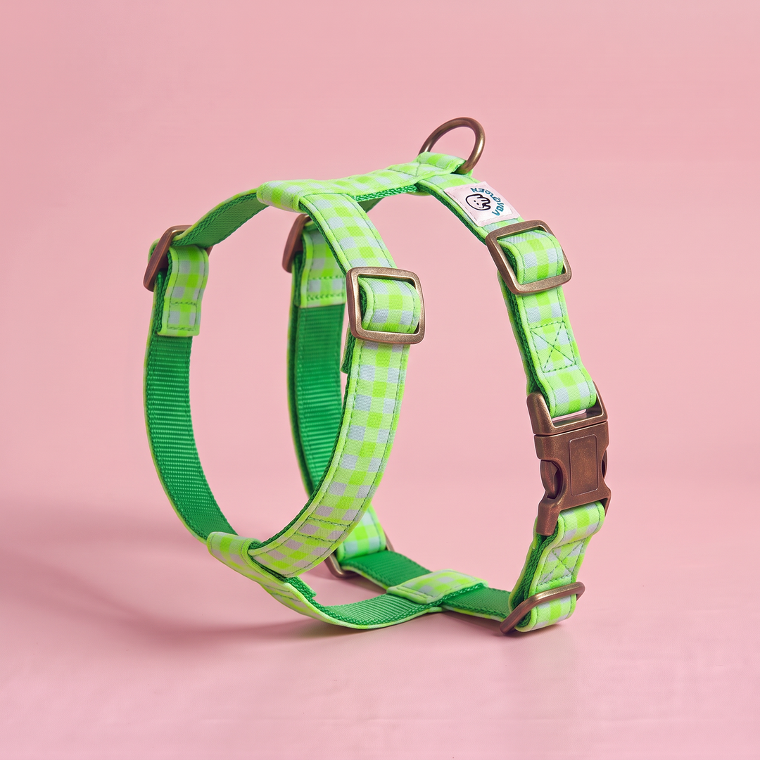 Arnés para perro Vichy Neon Green – nylon verde, puesto de pie