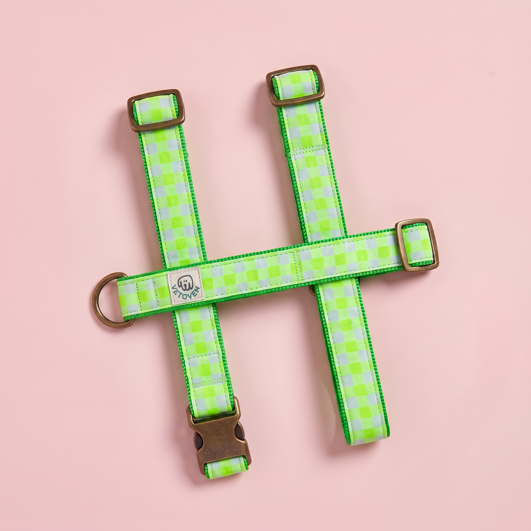 Arnés para perro Vichy Neon Green – nylon verde, vista plana