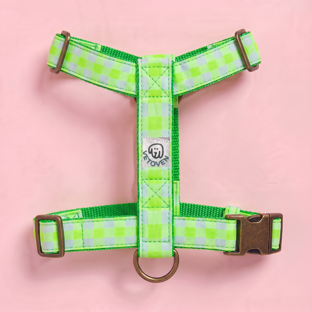 Arnés para perro Vichy Neon Green – nylon verde, vista plana 2