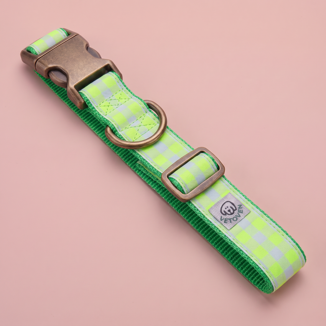 Collar para Perros Vichy Neón Green – vista plana