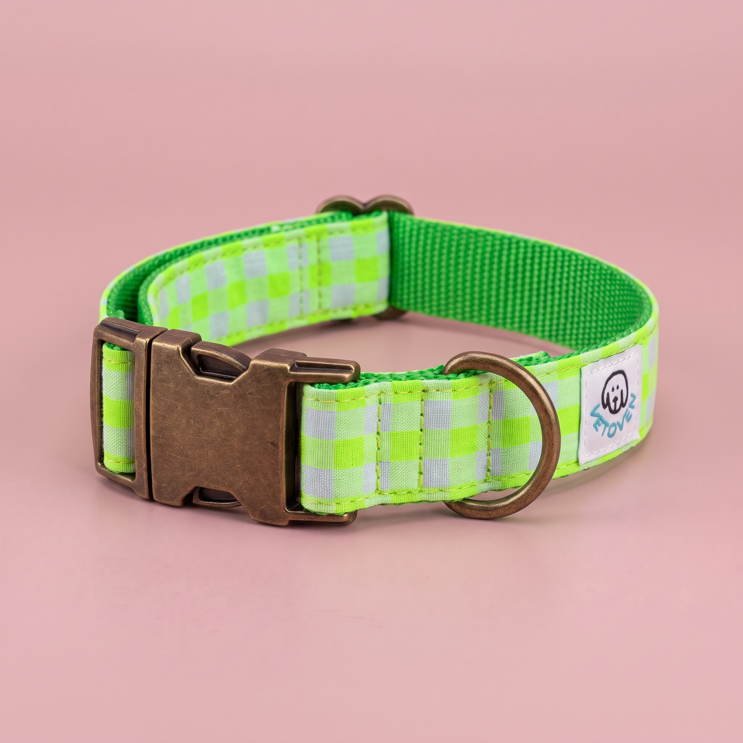Collar para Perros Vichy Neón Green