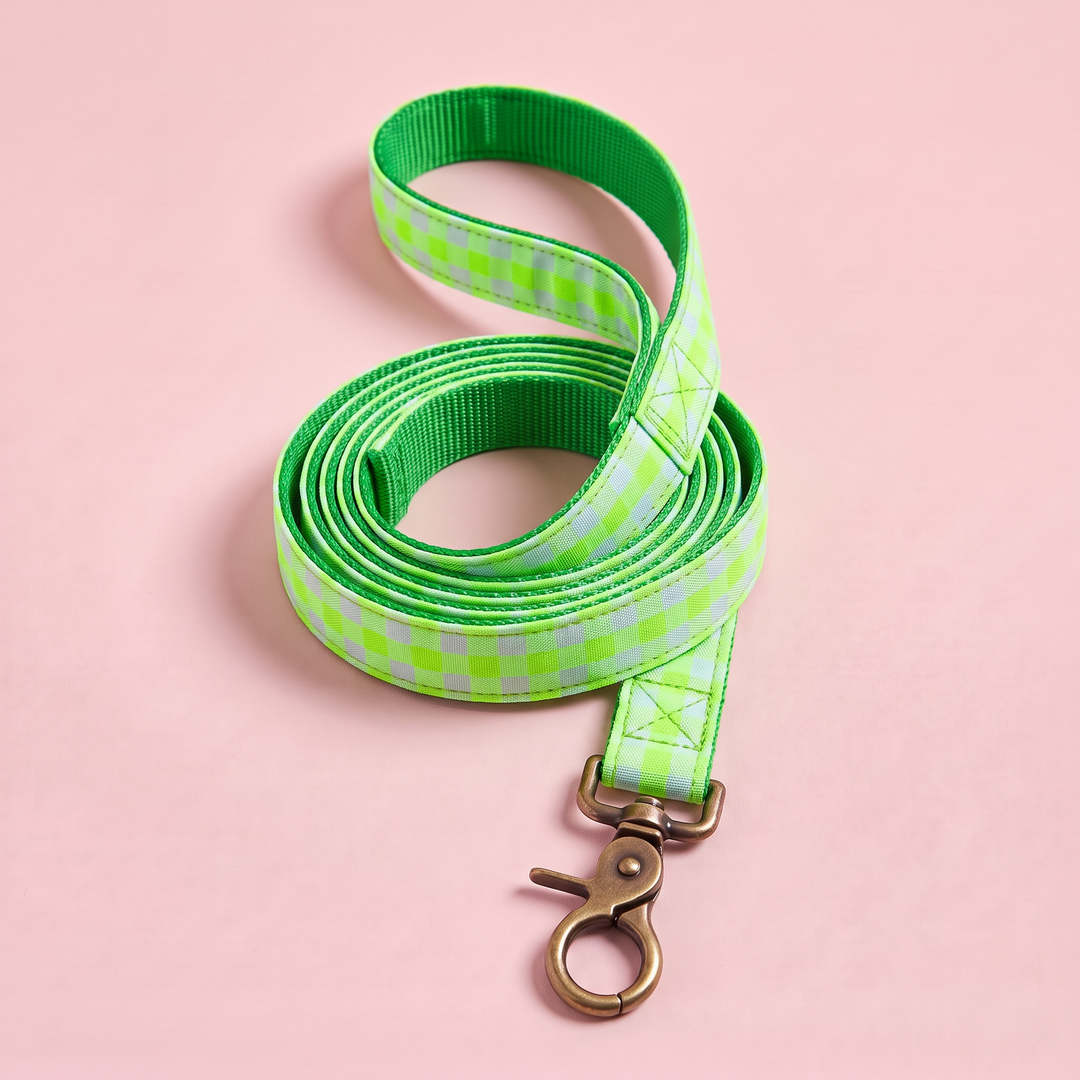 Correa para Perros Vichy Neón Green (150 cm) – nylon verde, enrollada