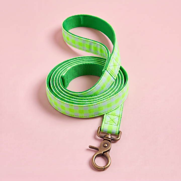 Correa para Perros Vichy Neón Green (150 cm) – nylon verde, enrollada