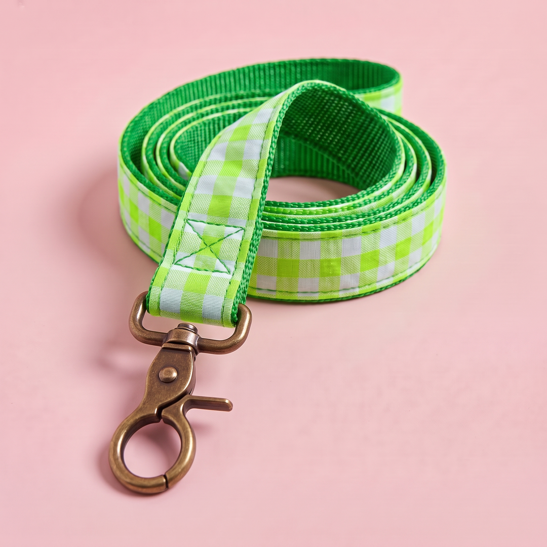 Correa para Perros Vichy Neón Green (150 cm) – nylon verde, detalle del mosquetón