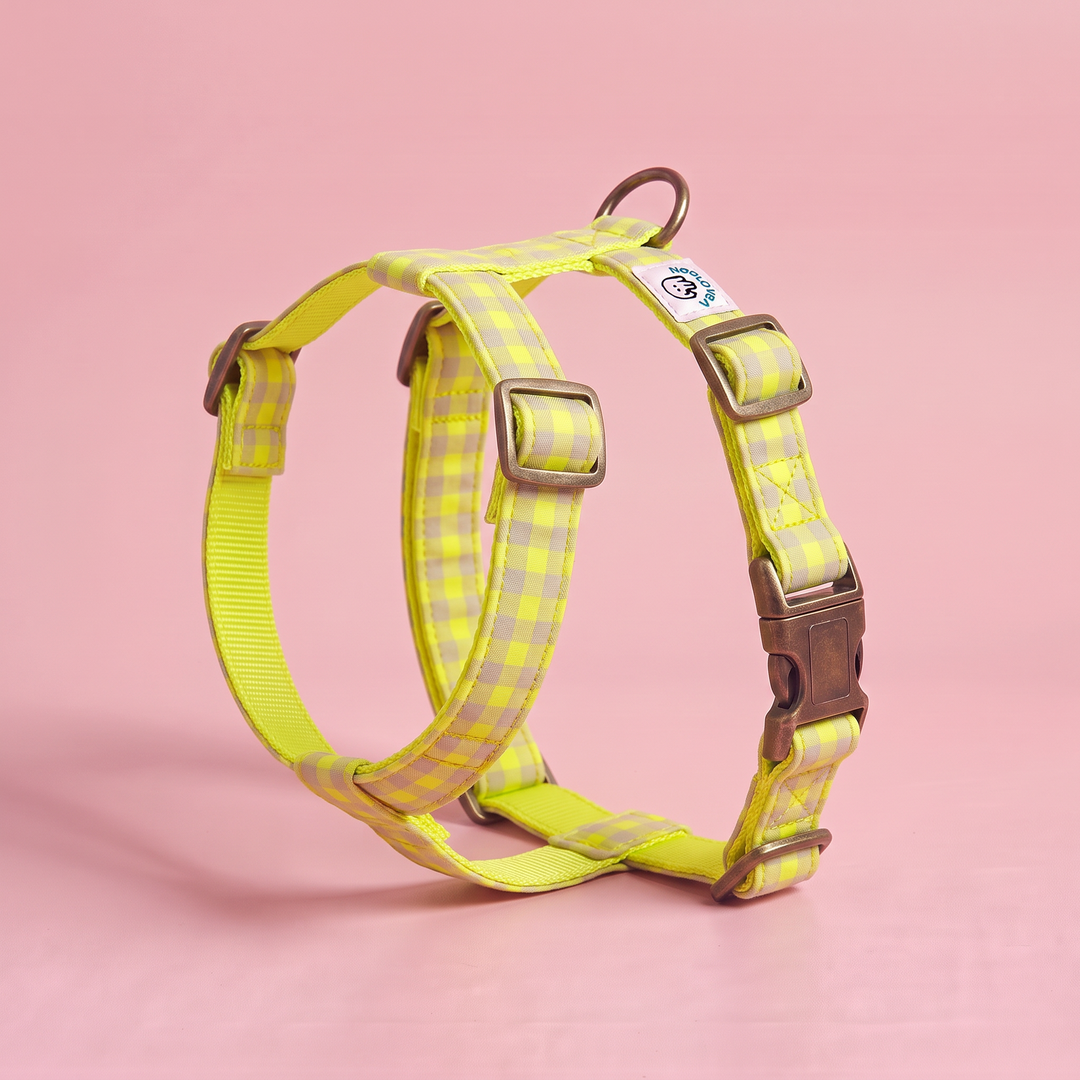 Arnés para Perros Vichy Neón Lemon Drop – nylon amarillo, puesto de pie