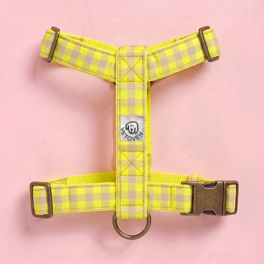 Arnés para Perros Vichy Neón Lemon Drop – nylon amarillo, vista plana 2