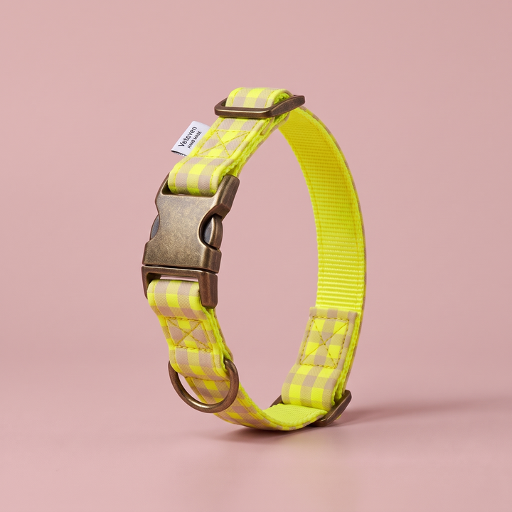 Collar para Perros Vichy Neón Lemon Drop – nylon amarillo, cerrado