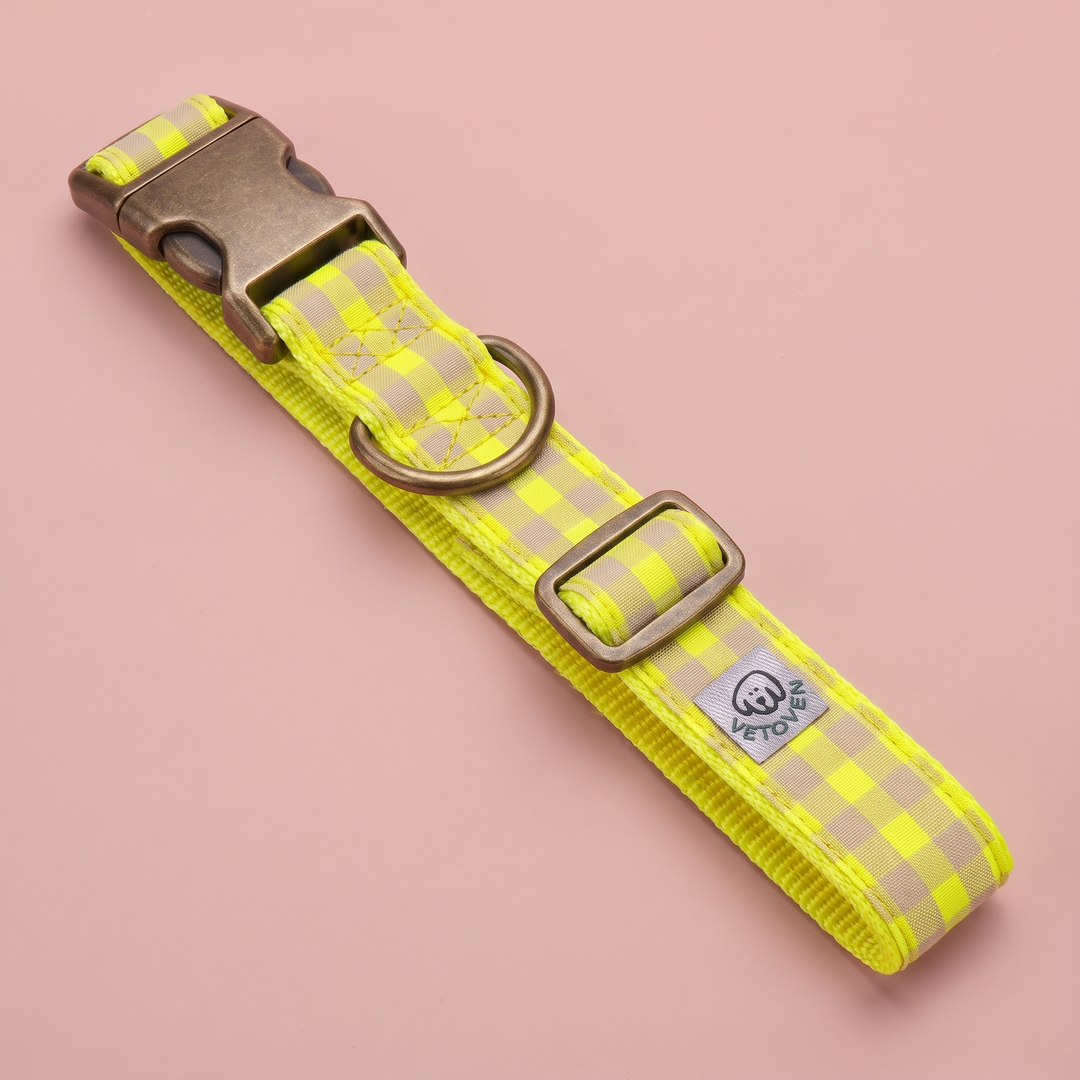 Collar para Perros Vichy Neón Lemon Drop – nylon amarillo, vista plana