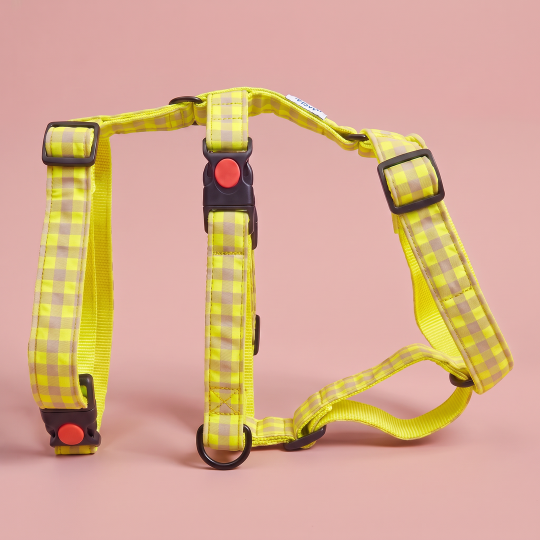 Arnés Galgo Antiescape 3 Puntos Vichy Neon Lemon Drop – nylon amarillo, puesto de pie