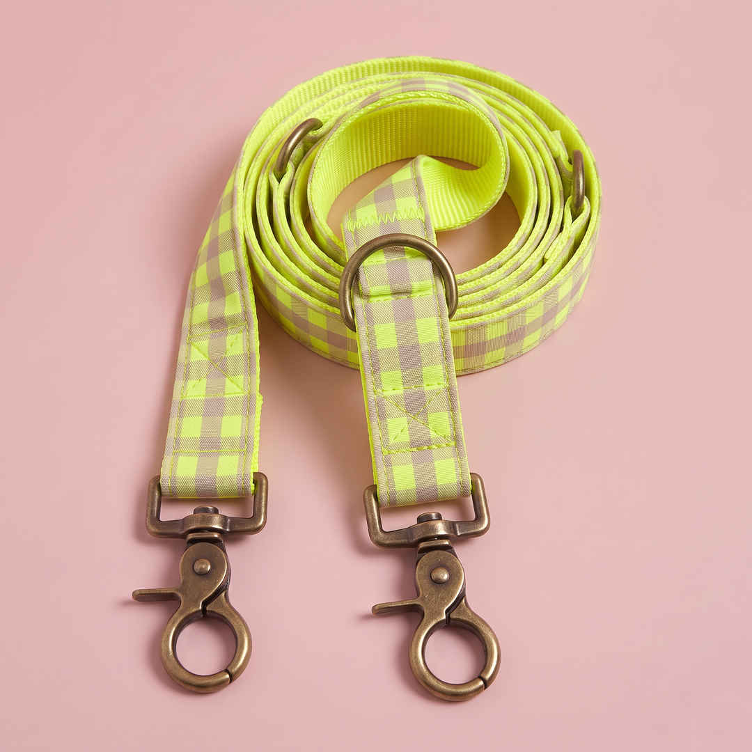 Correa Multiposición para Perros Vichy Neón Lemon Drop (1,90 m)