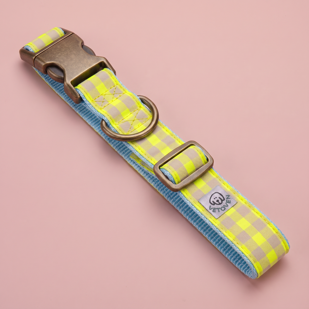 Collar para Perros Vichy Neón Lemon Drop – nylon azul claro, vista plana