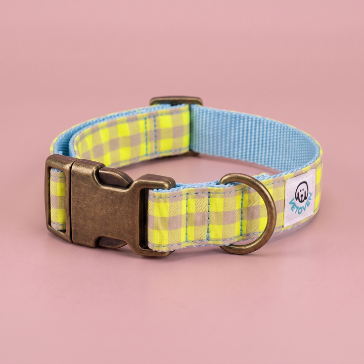 Collar para Perros Vichy Neón Lemon Drop – nylon azul claro, detalle