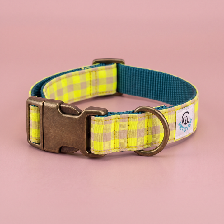 Collar para Perros Vichy Neón Lemon Drop – nylon verde azulado, detalle