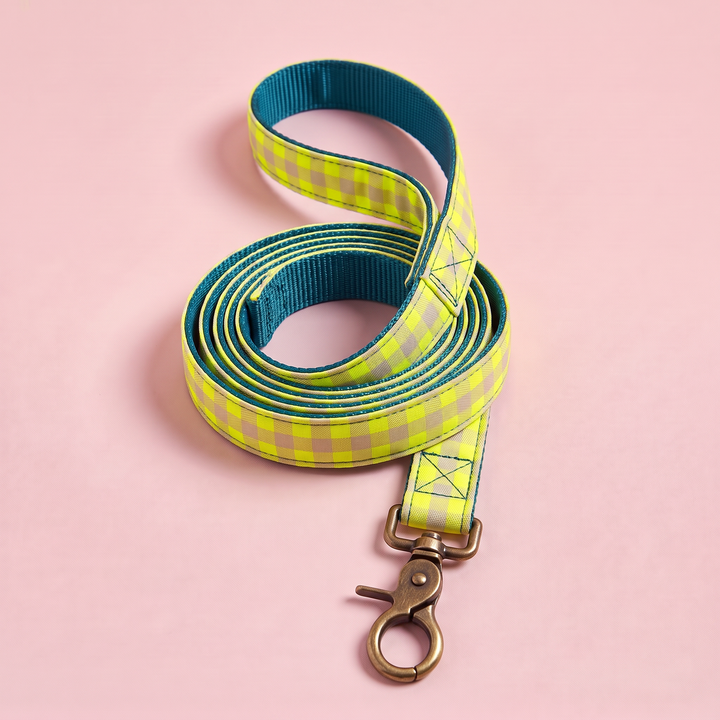 Correa para Perros Vichy Neón Lemon Drop (150 cm) – nylon verde azulado, enrollada