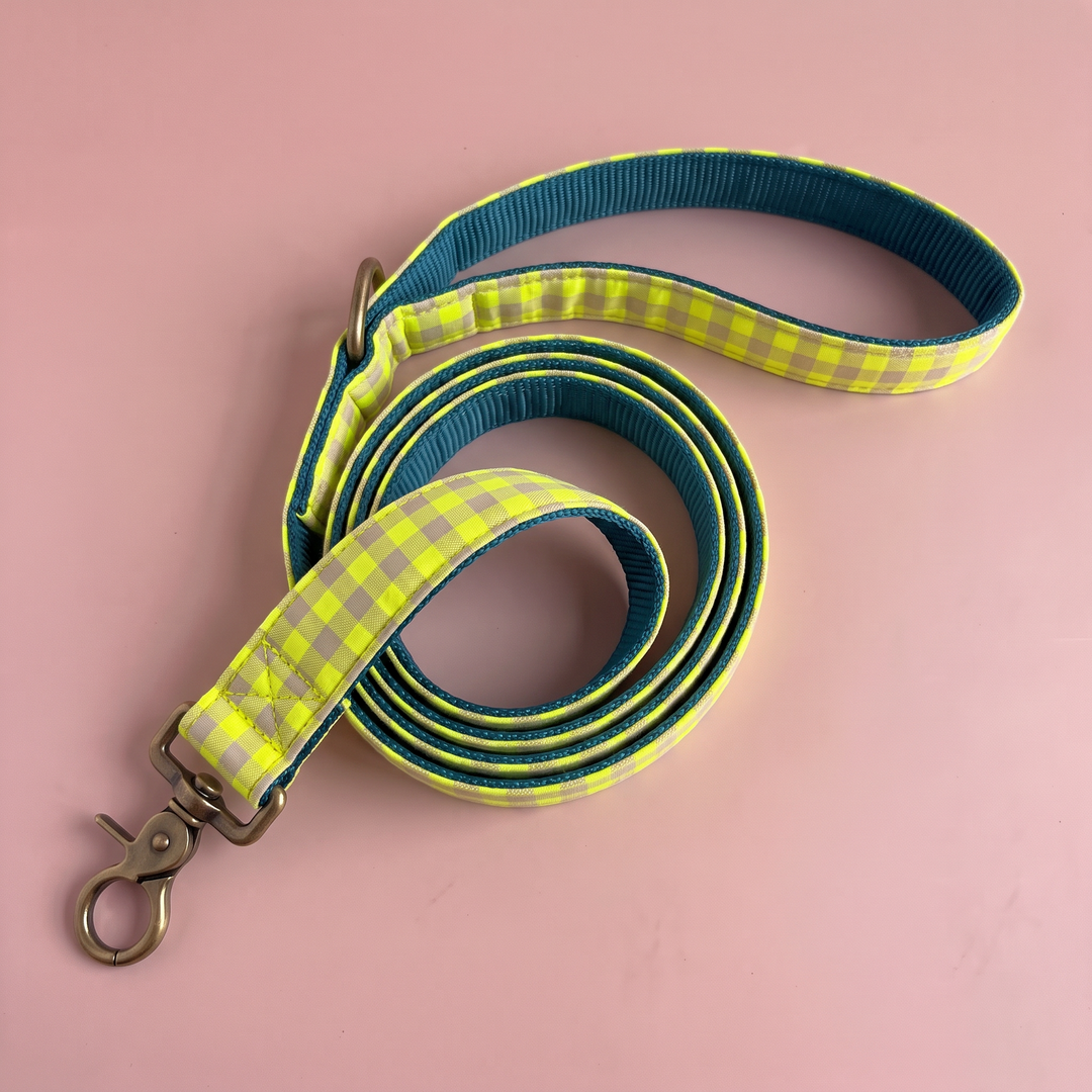 Correa para Perros Vichy Neón Lemon Drop (150 cm) – nylon verde azulado, detalle del asa