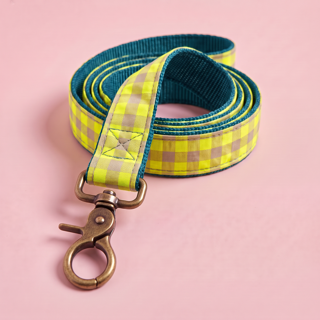 Correa para Perros Vichy Neón Lemon Drop (150 cm) – nylon verde azulado, detalle del mosquetón