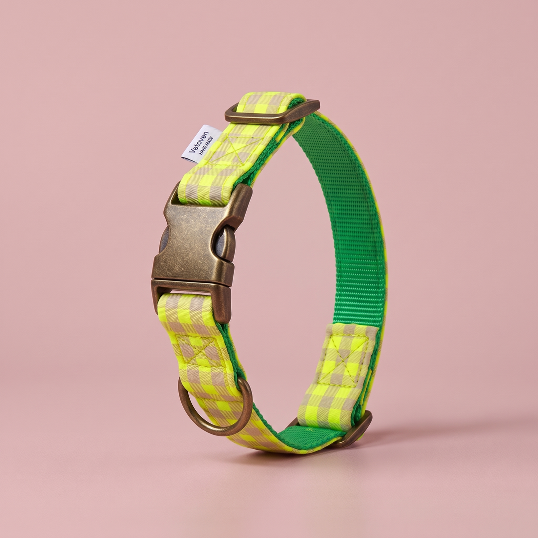 Collar para Perros Vichy Neón Lemon Drop – nylon verde, cerrado