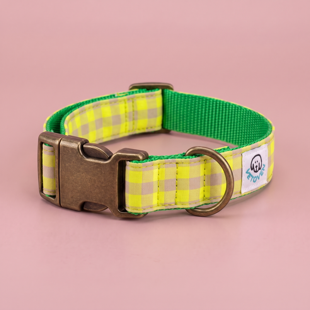 Collar para Perros Vichy Neón Lemon Drop – nylon verde, detalle