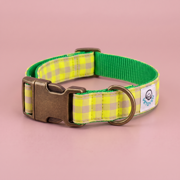 Collar para Perros Vichy Neón Lemon Drop – nylon verde, detalle