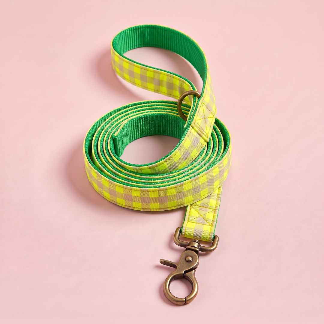 Correa para Perros Vichy Neón Lemon Drop (150 cm) – nylon verde