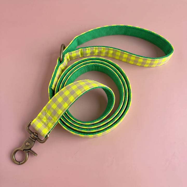Correa para Perros Vichy Neón Lemon Drop (150 cm) – nylon verde, detalle del asa