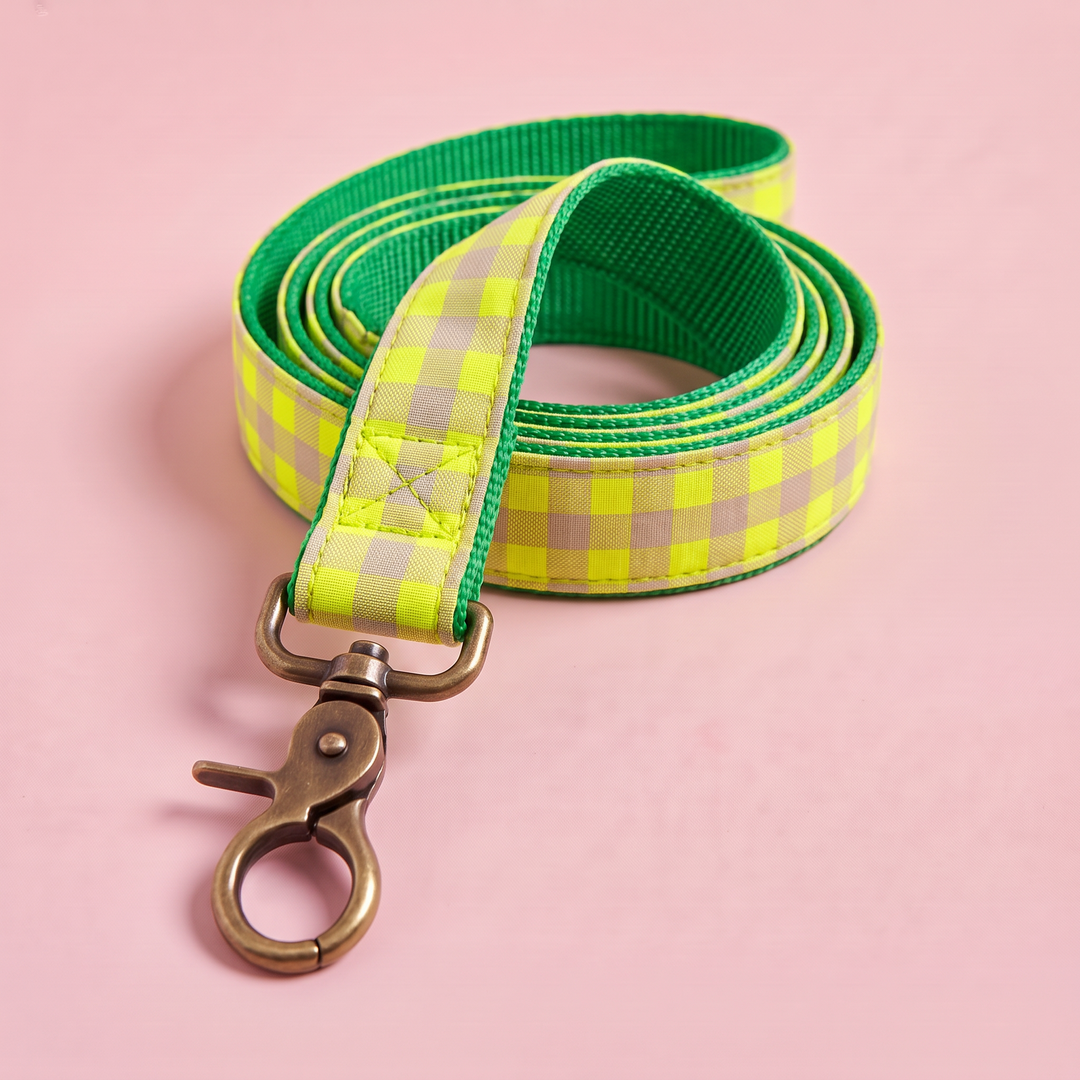 Correa para Perros Vichy Neón Lemon Drop (150 cm) – nylon verde, detalle del mosquetón