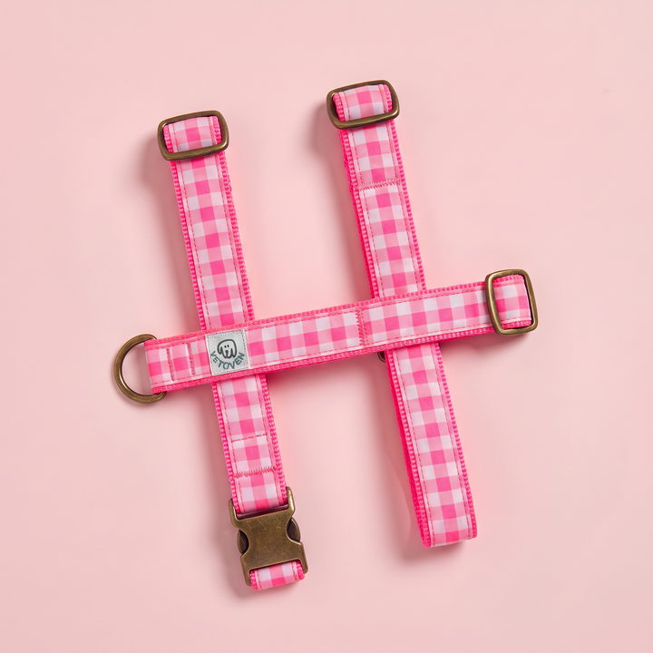 Arnés para Perros Vichy Neón Pink – vista plana