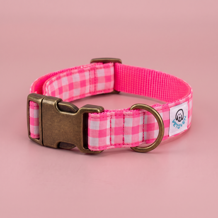 Collar para Perros Vichy Neón Pink Peony