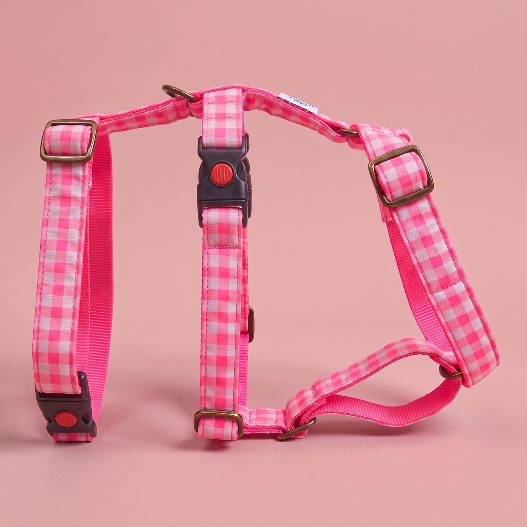 Arnés Galgo Antiescape 3 Puntos Vichy Neón Pink – puesto de pie