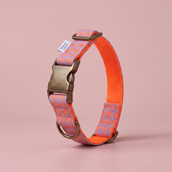 Collar para Perros Vichy Neón Sunset – cerrado
