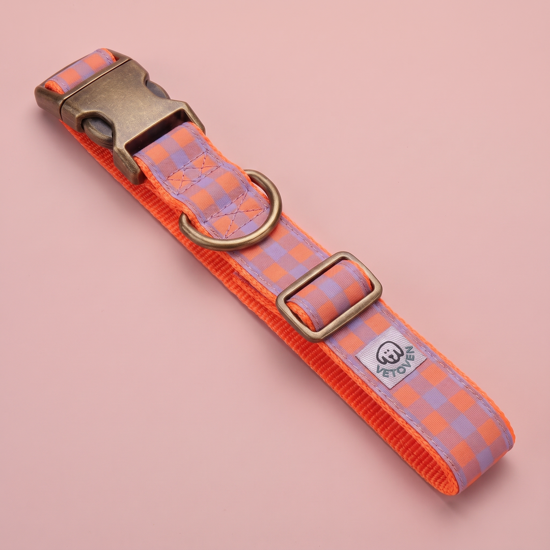 Collar para Perros Vichy Neón Sunset – vista plana