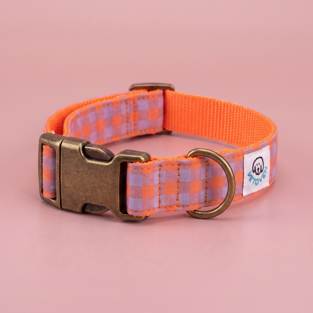 Collar para Perros Vichy Neón Sunset