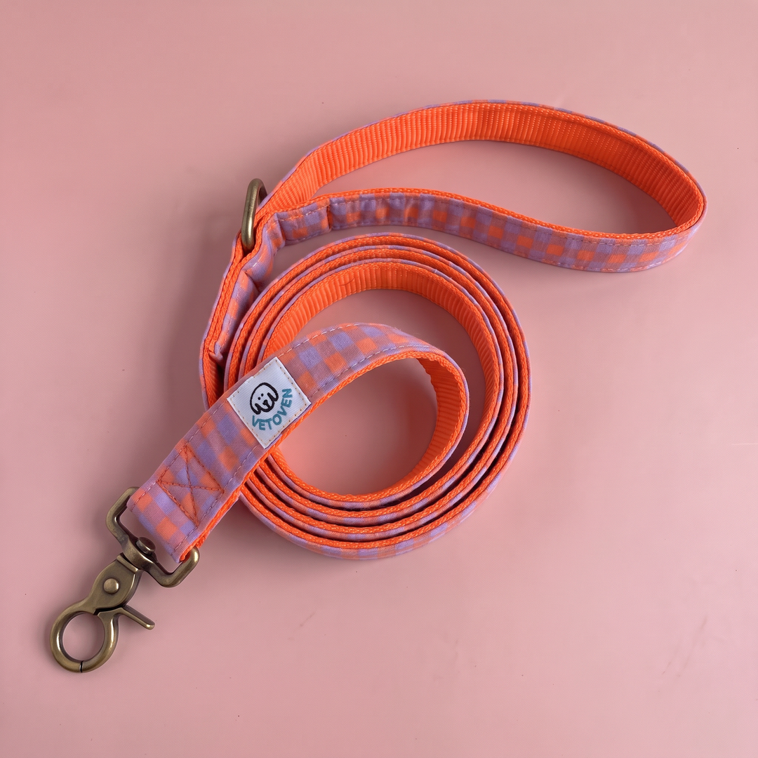 Correa para Perros Vichy Neón Sunset (150 cm)