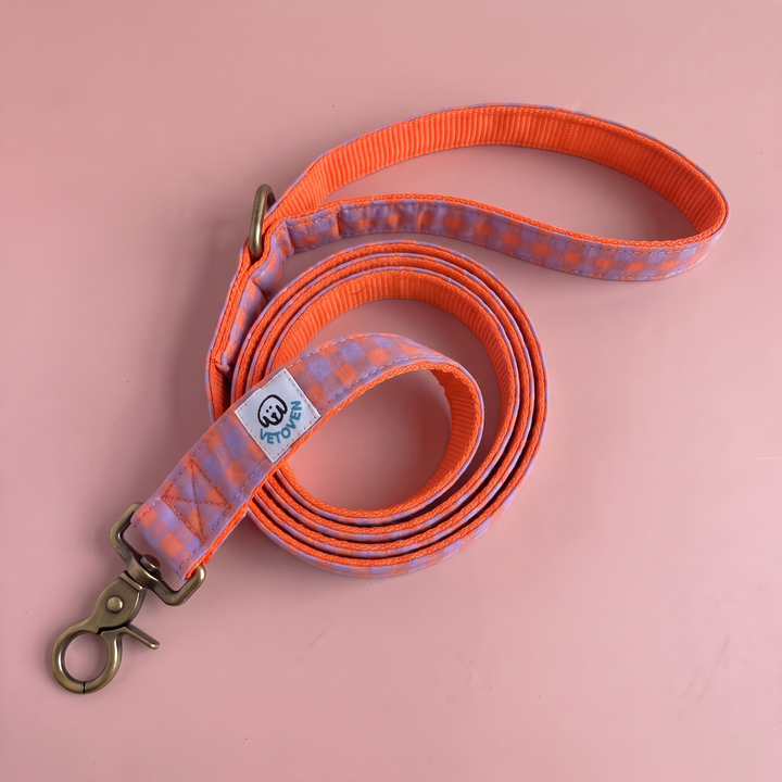 Correa para Perros Vichy Neón Sunset (150 cm)