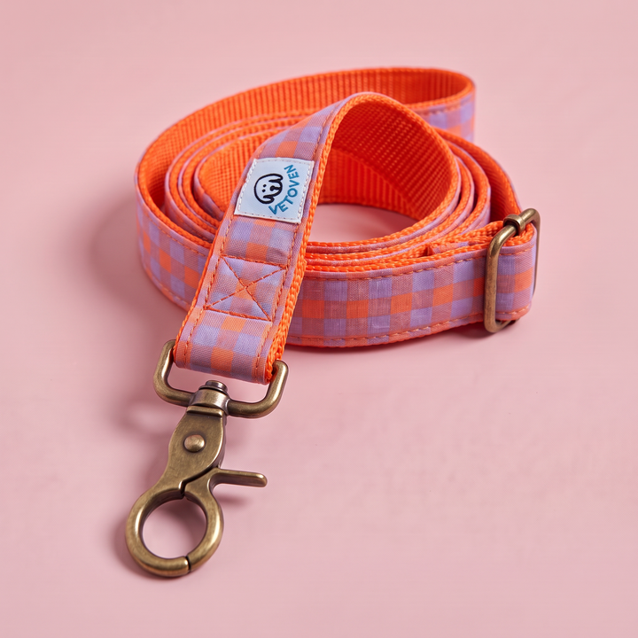 Correa para Perros Vichy Neón Sunset (150 cm) – detalle del mosquetón